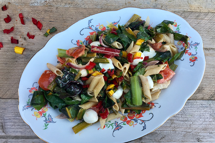Volkoren penne met snijbiet