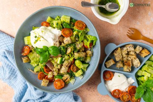 Italiaanse panzanella salade met burrata